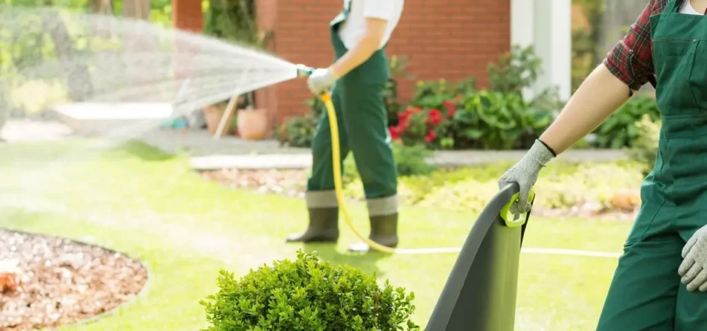 Two professional landscapers working in a sunny residential garden, with one watering the lawn and the other preparing to move equipment for garden cleaning in Toronto.