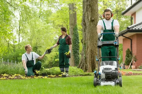 Team of three gardeners performing diverse tasks, including one mowing the lawn and two others planting foliage, demonstrating complete garden cleaning in Toronto and landscaping services.